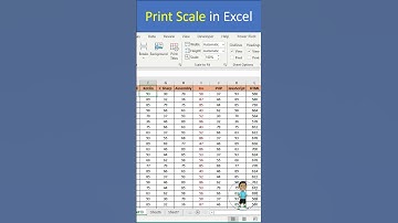 Excel Job Interview Questions Print Scale in Excel #excel #exceltips #shorts #msexcelfullcourse