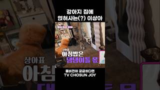 [JOY #Shorts] 사람보다 강아지와 사는 게 낫다? #이제혼자다