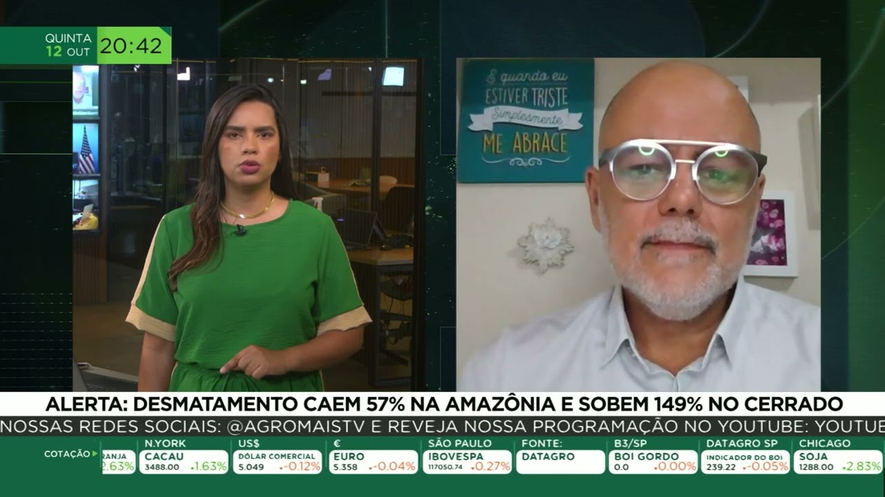 Alerta: desmatamento caem 57% na amazônia e sobem 149% no cerrado