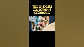 Tiêm khớp liên mấu cột sống thắt lưng- Ultrasound-guided Lumbar fatcet joint injection