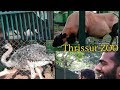 Thrissur ZOO || Kerala Visit