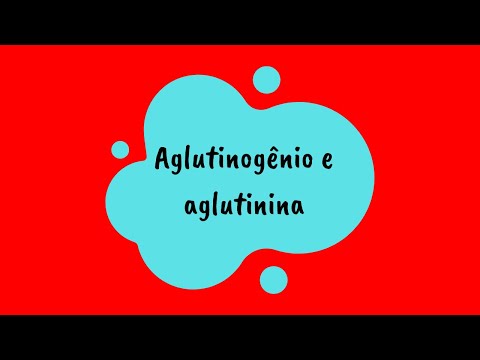Vídeo: O sangue tipo o tem aglutininas?