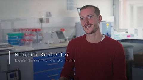 Nicolas Schaeffer | CICECO Young Researchers Award 2023 Winner