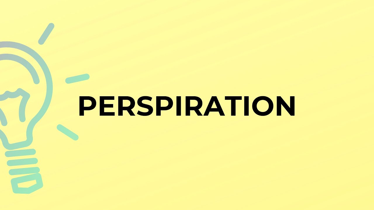 What is the meaning of the word PERSPIRATION? YouTube