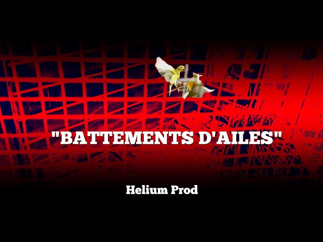 "BATTEMENTS D'AILES" - 2022