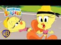 Los problemitas de Tweety | Bugs Bunny Builders | @WBKidsLatino​