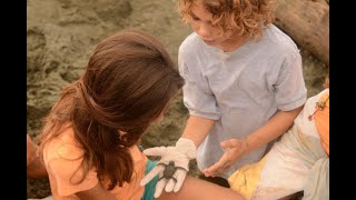 Join Nature Now International (NNI), a youth conservation NGO