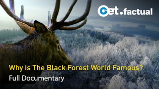 Beyond the Black Forest  Wild Germany | Full Documentary Part 3