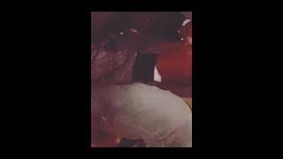 Kwandonga Ziyaduma Remake