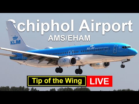 🔴 Live; Amsterdam Schiphol Airport #31 - 1 september 2025 (NL/ENG)