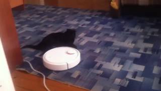 Xiaomi mi robot vacuum нападает на кота