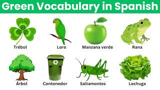 Green Vocabulary in Spanish | Learn Spanish Fast Learn Greens In Spanish Learnspanish Comoestanppl Comoestanpeople