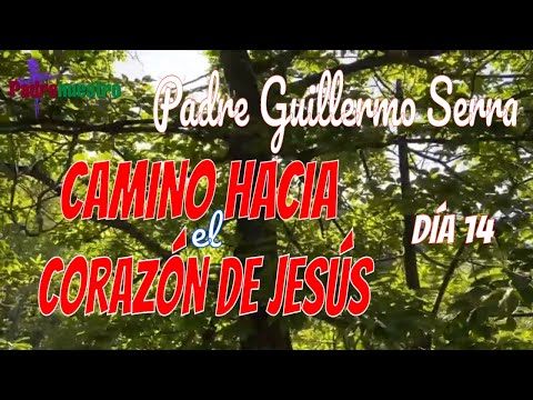 ᐅ CAMINO HACIA EL CORAZÓN DE JESÚS | Día 14 - Amor con el PADRE GUILLERMO SERRA
