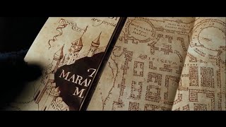 Newt Scamander Is In Harry Potter and the Prisoner of Azkaban
