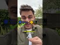 How to vote tactically in the Welsh elections
