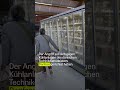 Hacker tauen Kühltruhen in französischen Supermärkten ab