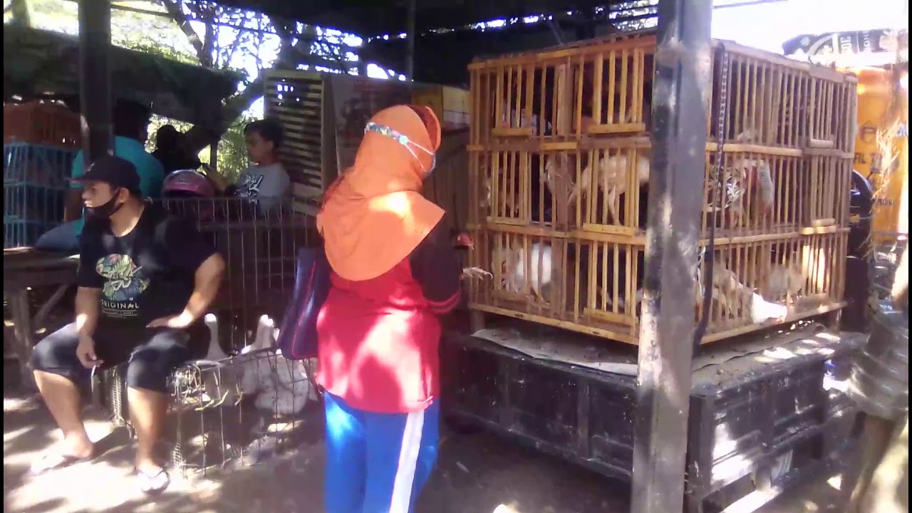 GREBEK PASAR Ayam MOJOAGUNG JOMBANG || Minggu14 Maret 2021