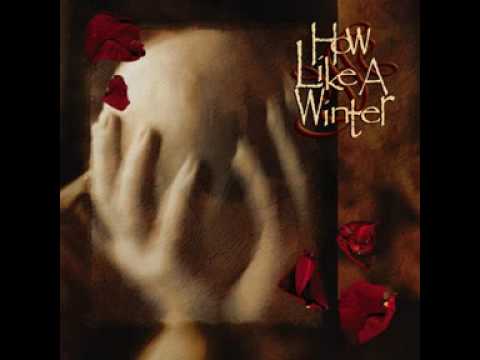 A Flower That Sears In Silence Video