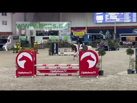 Dancing Arthur 1 De Rock Z - 1e manche Hengsten competitie 2025 - 4jaar