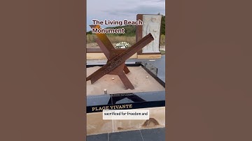 The Living Beach at Omaha, Normandy. _#history #ww2 #dday #military #veterans