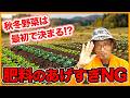 【秋冬野菜】肥料のあげ過ぎはNG！肥料過剰がダメな理由を解説【シェア畑】【農園ライフ】