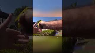 Rider’s Excuse Shocks Everyone #CrimeLoop #TrafficStop #CaughtOnCamera