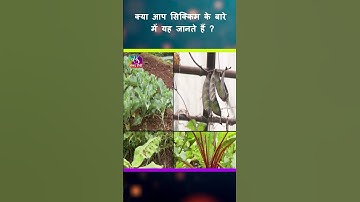 #Sikkim | State Scan