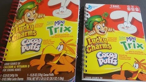 Cereal Box Junk Journal & Notebook For My Grandson!