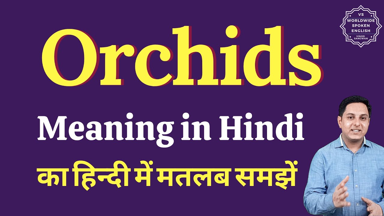 Orchids meaning in Hindi Orchids ka kya matlab hota hai Spoken English Class YouTube