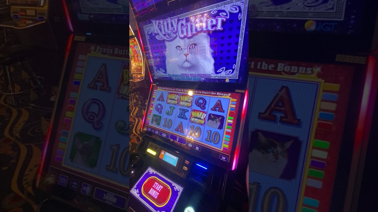 DYNAMITE Mom Plays KITTY GLITTER... Let’s win! 🚀