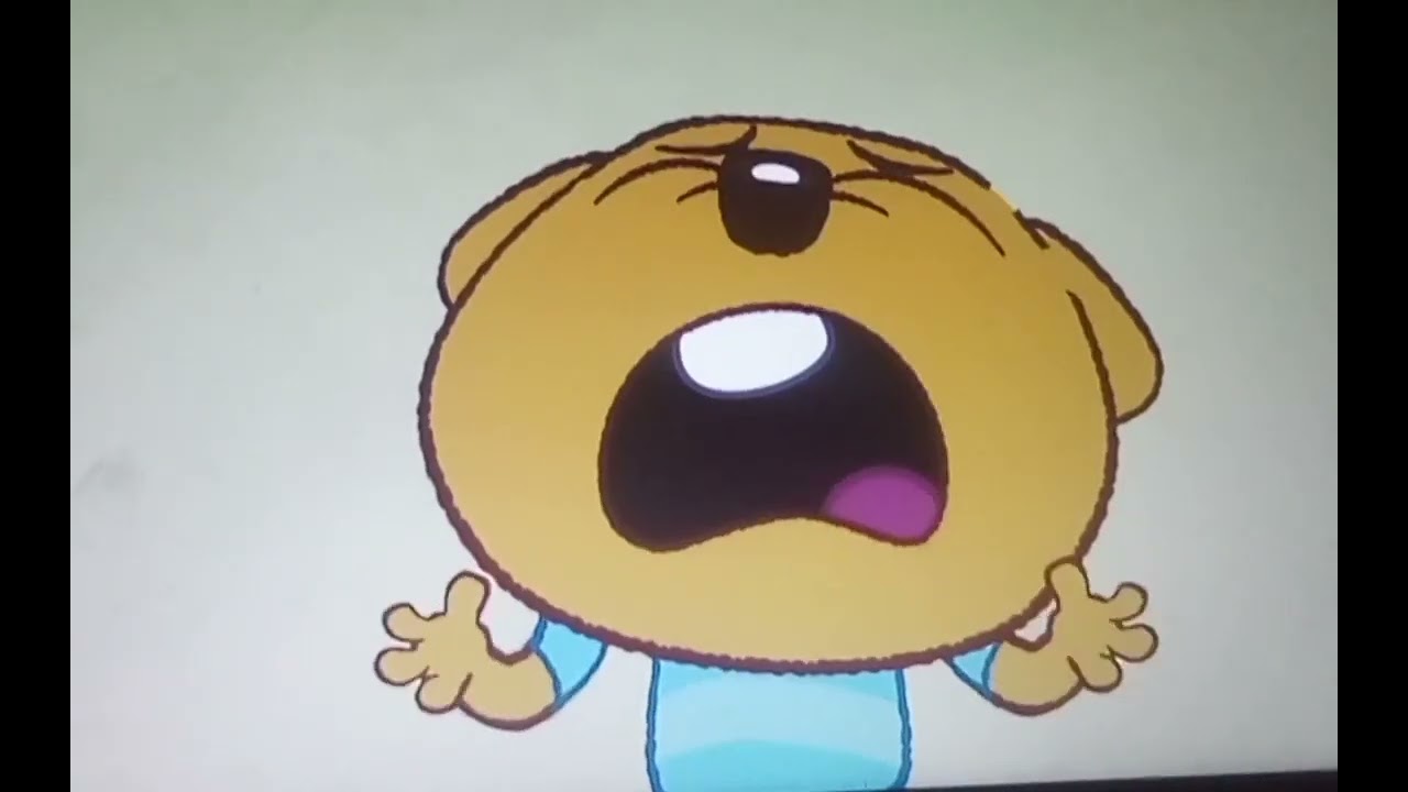 Work It Out Wombats Zeke Is Crying And Screaming At You YouTube Work It Out Wombats Zeke Is Crying And Screaming At You YouTube