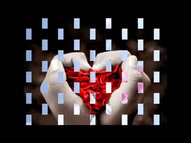 Porno toda xotinlari