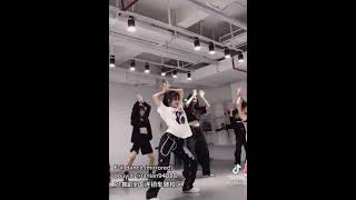 DESERT SNAKE BLACKPINK REMIX (whistle + how you like that) TIKTOK MIRRORED