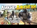 ARK: Survival Evolved - Дикие джунгли! #2