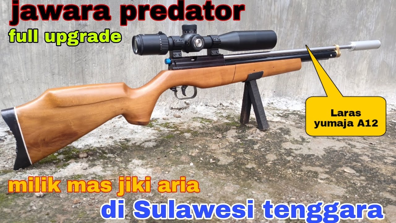 Review uklik jawara predator (full upgrade) milik mas jiki aria di Sulawesi tenggara ‼️‼️
