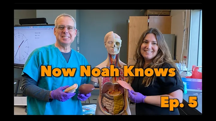 Now Noah Knows Episode 5 - Colleen Lynch