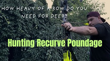 Traditional Bow Draw Weight - How Much Draw Weight Do You Really Need To Hunt Deer?
