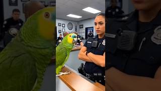 “You Arrested My Attention” 😂🦜 Smoothest Bird Ever