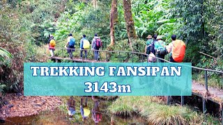 Chinh phục đỉnh Fansipan | Leo núi Fansipan 2N1Đ - Camera hành trình