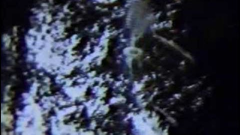 Didjits - "Loan Me a Buck" Touch & Go Records