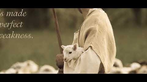 The Good Shepherd Comes searching for you - Advent Reflections by Fr. Joseph Royan, C.Ss.R