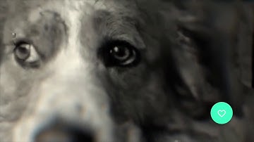 Prototype for Social 3D Photo Experience