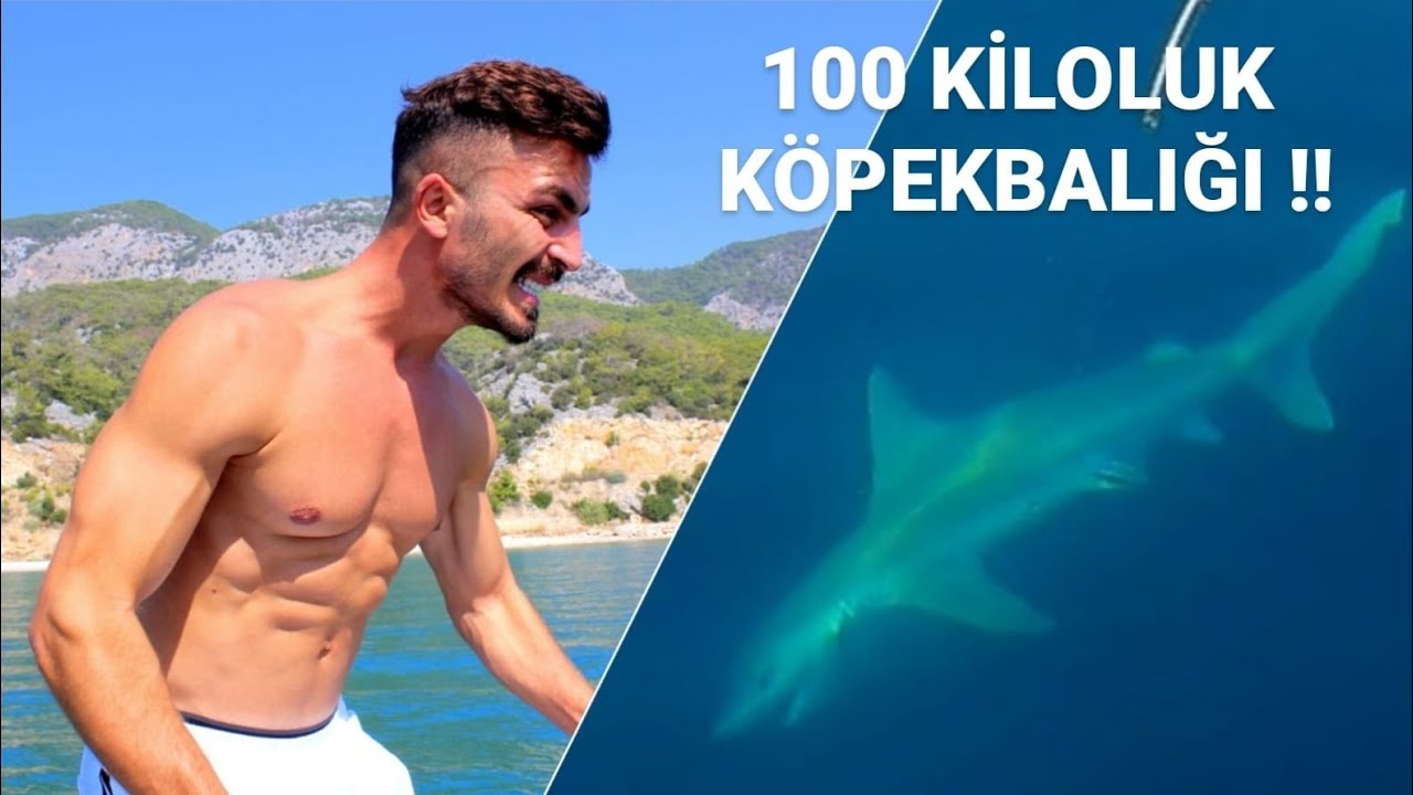 Deli Mi Ne Ile 100 Kiloluk Kopek Baligi Yakaladik Youtube