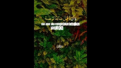 القارئ أحمد النفيس#سورة النمل# رقم الآية ١٩#رب أوزعني أن أشكر نعمتك التي أنعمت علي وعلىّ والدىّ