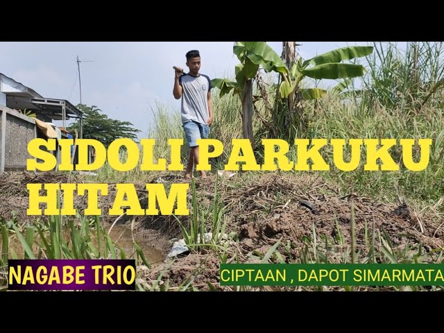 Sidoli Parkuku Hitam cover, Nagabe Trio karya Cipta, Dapot Simarmata class=