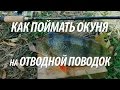 ЛОВЛЯ ОКУНЯ НА ОТВОДНОЙ ПОВОДОК. КАК ЛОВИТЬ ОКУНЯ НА СПИННИНГ С БЕРЕГА