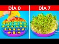 TRUCOS GENIALES PARA CULTIVAR PLANTAS EN CASA