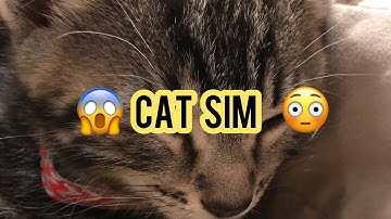 Ultimate Cat Simulator #1 - Intro