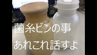 きのこの菌床栽培用菌糸ビンについて話してみる。