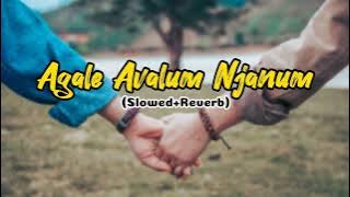 Agale Avalum Njanum (Slowed Reverb) #slowedandreverb #slowedreverb #mappilappattu #mappilappattukal